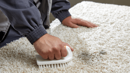 Professional Rug Cleaning Emerald